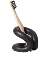 Sin Ceramic Ood Toothbrush Holder In Black At Urban Outfitters In Black