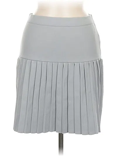 Pre-owned Sincerely Jules Casual Skirt In Gray