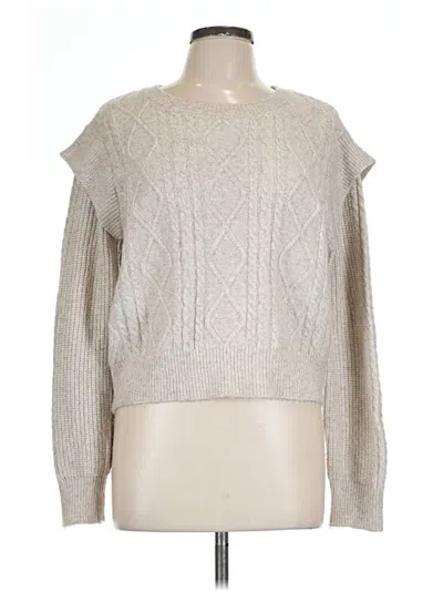 Pre-owned Sincerely Jules Pullover Sweater In Silver
