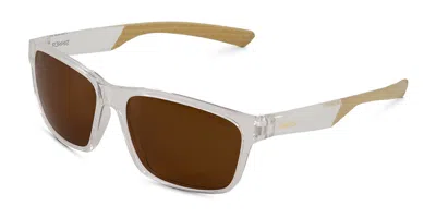 Sinner Breni Polarized Sisu-934-30-p30 Men's Sunglasses Clear Size Standard In Transparent Clear-matte Light Brown