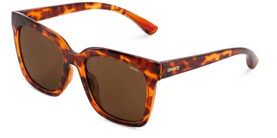 Sinner Marathi Polarized Sisu-943-41-p30 Women's Sunglasses Tortoiseshell Size Standard In Transparent Brown Tortoise