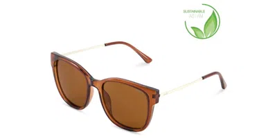Sinner Mrauk Polarized Sisu-947-40-p30 Women's Sunglasses Brown Size Standard In Transparent Brown