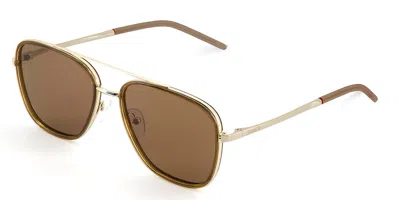 Sinner Nuqi Polarized Sisu-948-40-p30 Men's Sunglasses Brown Size Standard In Transparent Brown - Gold Metal