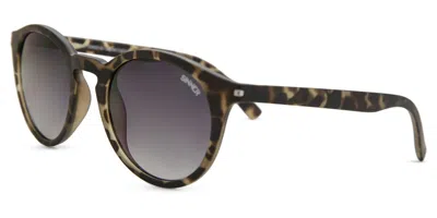Sinner Patnem Sisu-732-34-28 Women's Sunglasses Green Size 46 In Brown