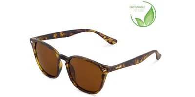 Sinner Sorai Polarized Sisu-939-40-p30 Men's Sunglasses Tortoiseshell Size Standard In Matte Tortoise Brown