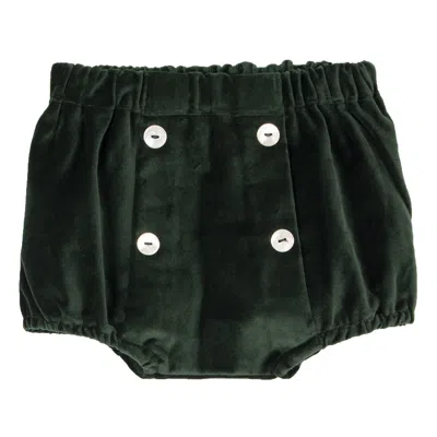 Siola Babies' Green Velvet Culotte In Verde