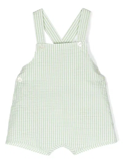 Siola Babies' Striped Cotton Shorts In Green