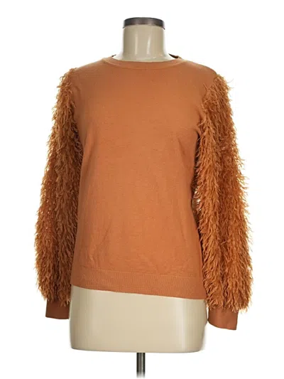 Pre-owned Sioni Pullover Sweater In Brown