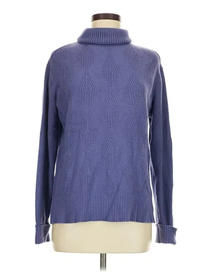Pre-owned Sioni Turtleneck Sweater In Blue