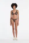 Sir Marlon Low Brief In Chocolat Polka