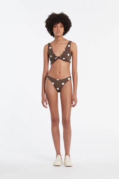 Sir Marlon Low Brief In Chocolat Polka