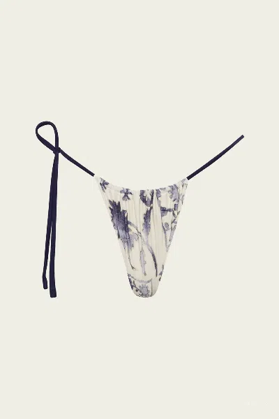 Sir Phillipa String Brief In Eira Midnight In Multi