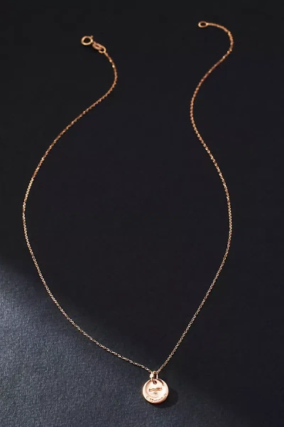 Sirciam Jewelry Horoscope Necklace In Zodiac