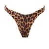 Siren Swimwear Women's Brown / Gold / Neutrals Siren Taylor Thong Bottoms In Leopard In Brown/gold