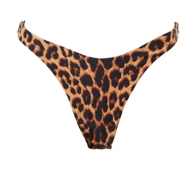 Siren Swimwear Women's Brown / Gold / Neutrals Siren Taylor Thong Bottoms In Leopard In Brown/gold