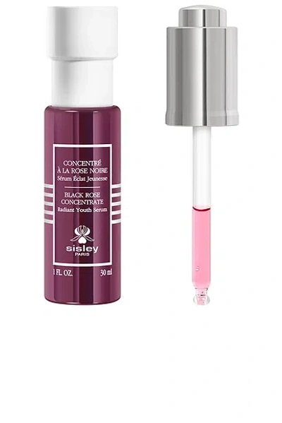 Sisley Paris Black Rose Concentrate Radiant Youth Serum In N,a