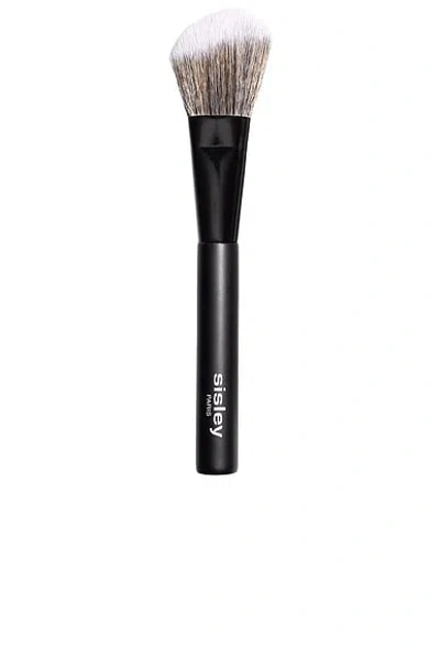 Sisley Paris Blush Brush In N,a