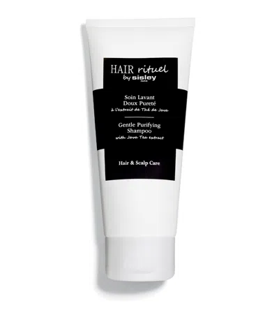 Sisley Paris Hair Rituel Gentle Purifying Shampoo In White