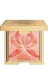 Sisley Paris Sisley Palette Orchidée Highlighter Blush In Na