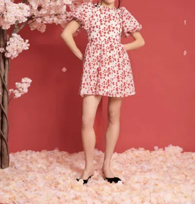 Sister Jane Dream Sakura Jacquard Mini Dress In White/red In Burgundy