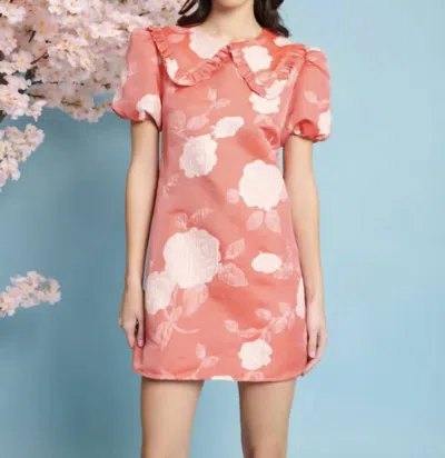 Sister Jane Kinishi Jacquard Dress In Red