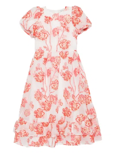 Sister Jane Willa Jacquard Midi Dress In Orange