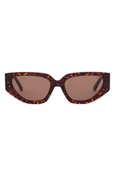 Sito Shades Axis Polar 55mm Rectangle Sunglasses In Cheetah/ Coffee Polar