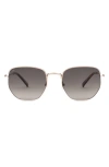 Sito Shades Eternal Polar 52mm Geometric Sunglasses In Gold/ Tort/ Horizon Polar