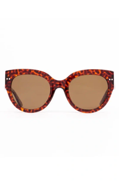 Sito Shades Good Life Polar 54mm Round Sunglasses In Cheetah/ Brown Polar