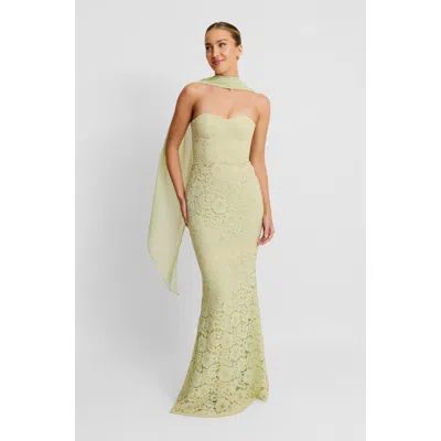 Six Stories Lace Corset Maxi Dress With Neck Scarf In Green