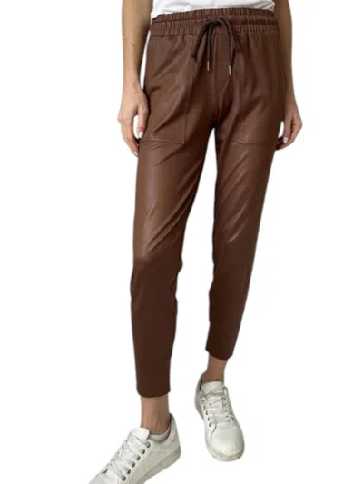 Six/fifty Headliner Jogger In Cinnamon In Brown