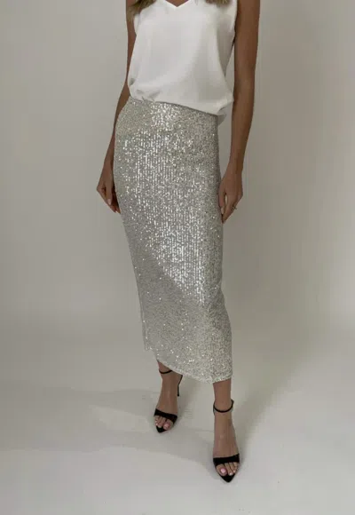 Six/fifty Joy Pencil Skirt In Silver