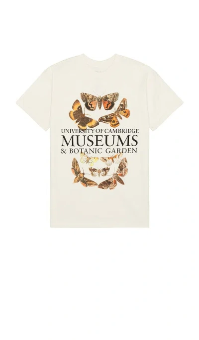 Sixthreeseven Cambridge Museums Tee In Sand