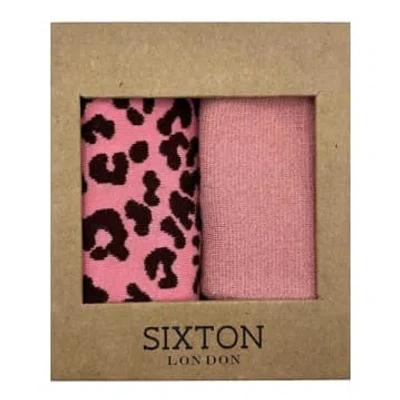 Sixton London : Pink Mix Box Sock Set