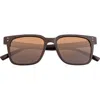 Sixty One Capri Polarized Sunglasses In Brown/brown