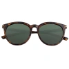 Sixty One Palawan Polarized Sunglasses In Tortoise/black