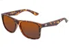 Sixty One Solaro Polarized Sunglasses In Brown