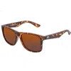 Sixty One Solaro Polarized Sunglasses In Tortoise/brown