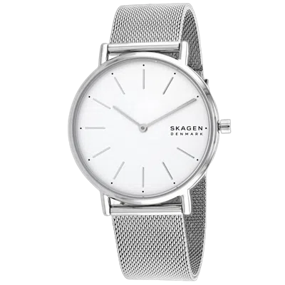 Skagen Signatur Watch In Metallic