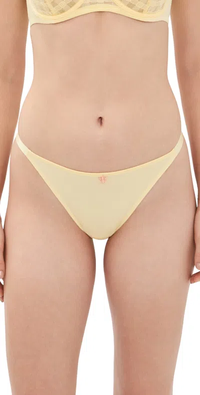 Skarlett Blue Bonbon String Lace Panties Buttercream In Multi