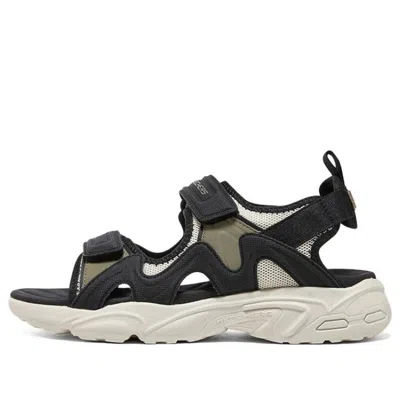 Skechers Dlites Sandel 'black Beige'
