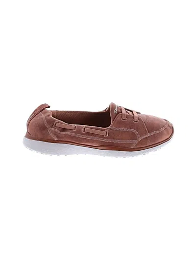 Pre-owned Skechers Sneakers In Brown