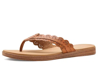 Skechers Summer Cove - Catching Sun Too In Brown