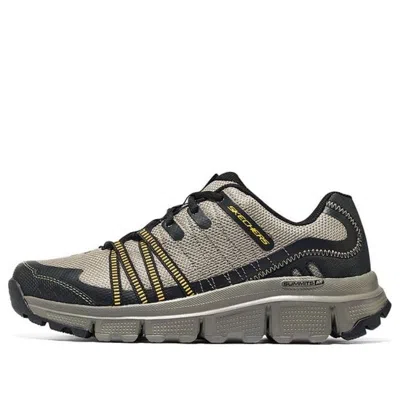 Skechers Summits Sneakers 'beige Black' In Neutral