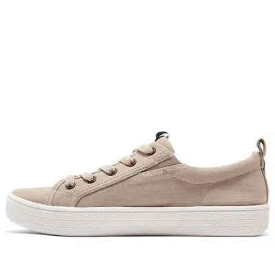 Skechers (wmns)  Bobs B Extra Cute Low Sneakers Grey/brown