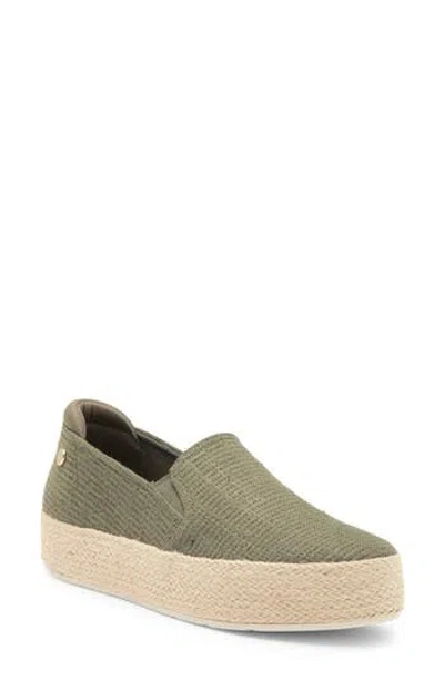 Skechers X Martha Stewart Bobs Sesame Slip-on Sneaker In Green