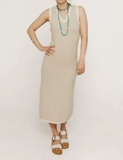Skfk Ihara Dress In Multicolor In Brown
