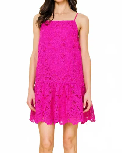 Skies Are Blue Lace Mini Dress With Scalloped Hem In Pink
