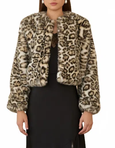 Skies Are Blue Lola Leopard Chubby Faux Fur Crop Jacket In Brown