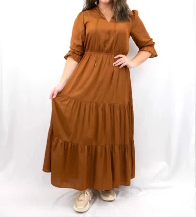 Skies Are Blue Long Sleeve Ruffle Maxi Dress In Brown